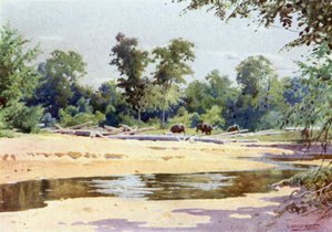 Elephants Clearing a Pone of Logs at Kokogon by Robert George Talbot Kelly